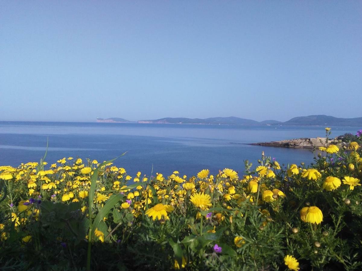 Giramondo Sardegna Affittacamere Alghero Exterior foto